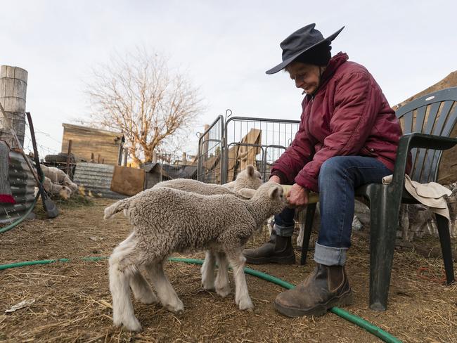 Coral Jerry, 80, on the family farm ‘Marlborough’, 40km outside Coonabarabran. She is currently raising 40 orphaned lambs, feeding them 4-5 times a day. Picture: Brook Mitchell/Getty Images