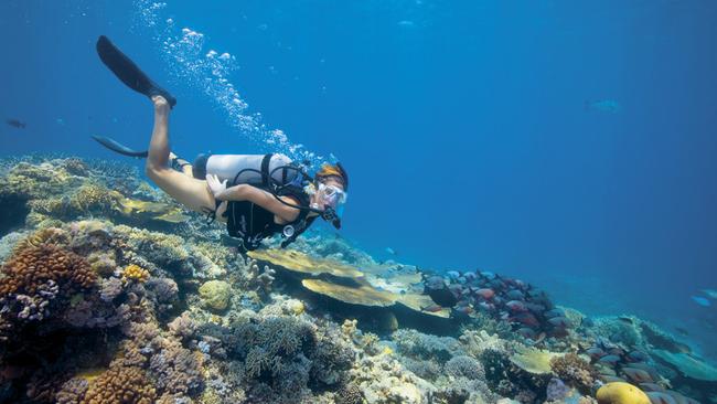 Big attraction ... The Great Barrier Reef will be a major part of a new international tourism campaign. Picture: Tourism Australia