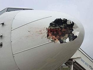 Sound approach to bird strikes