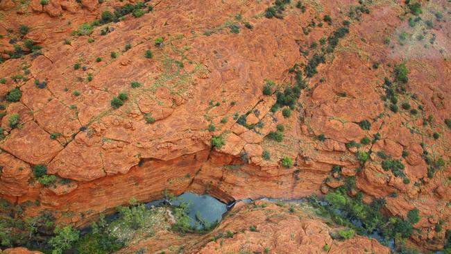 A bird’s-eye view of Kings Canyon.