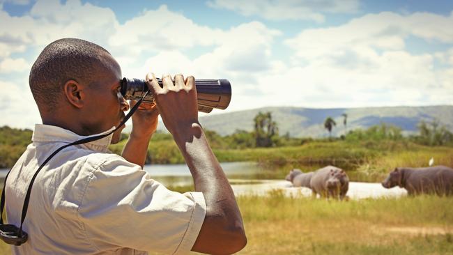 Having a knowledgeable guide enriches the safari experience.