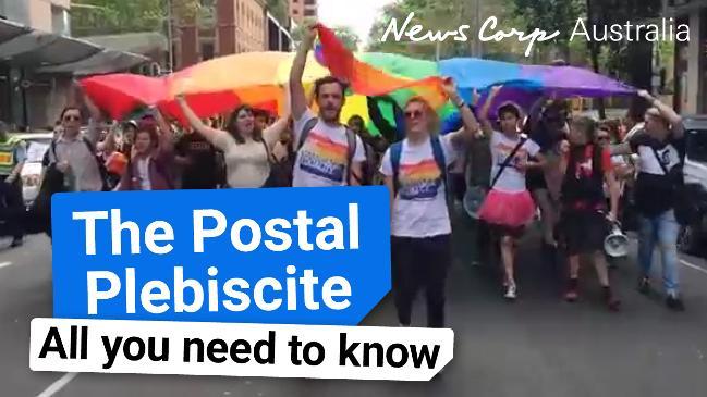 Gay Marriage Hurstville Flyer Sparks Controversy Au — Australias Leading News Site 1527