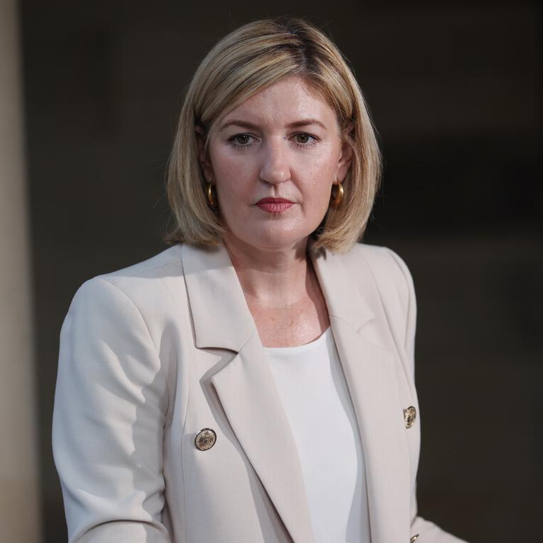 Opposition spokeswoman for women Shannon Fentiman. Picture: Annette Dew