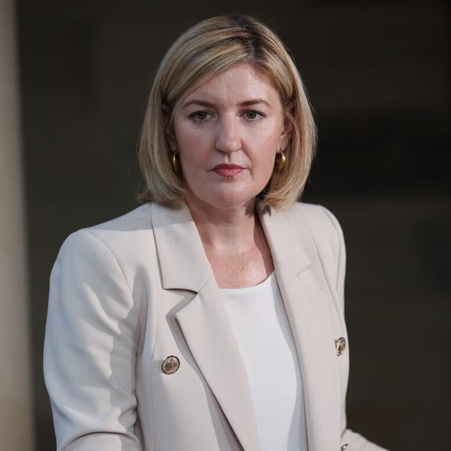 Opposition spokeswoman for women Shannon Fentiman. Picture: Annette Dew