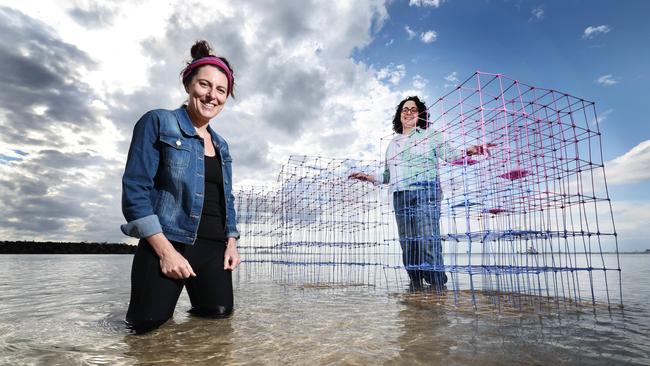 Emerging local artists Chelsea Jewell, an architect by day, and Alana Cabrera, alias Llama, a textilist, have teamed up to collaborate on a thought-provoking work about climate change titled ’Haven’. Picture Glenn Hampson