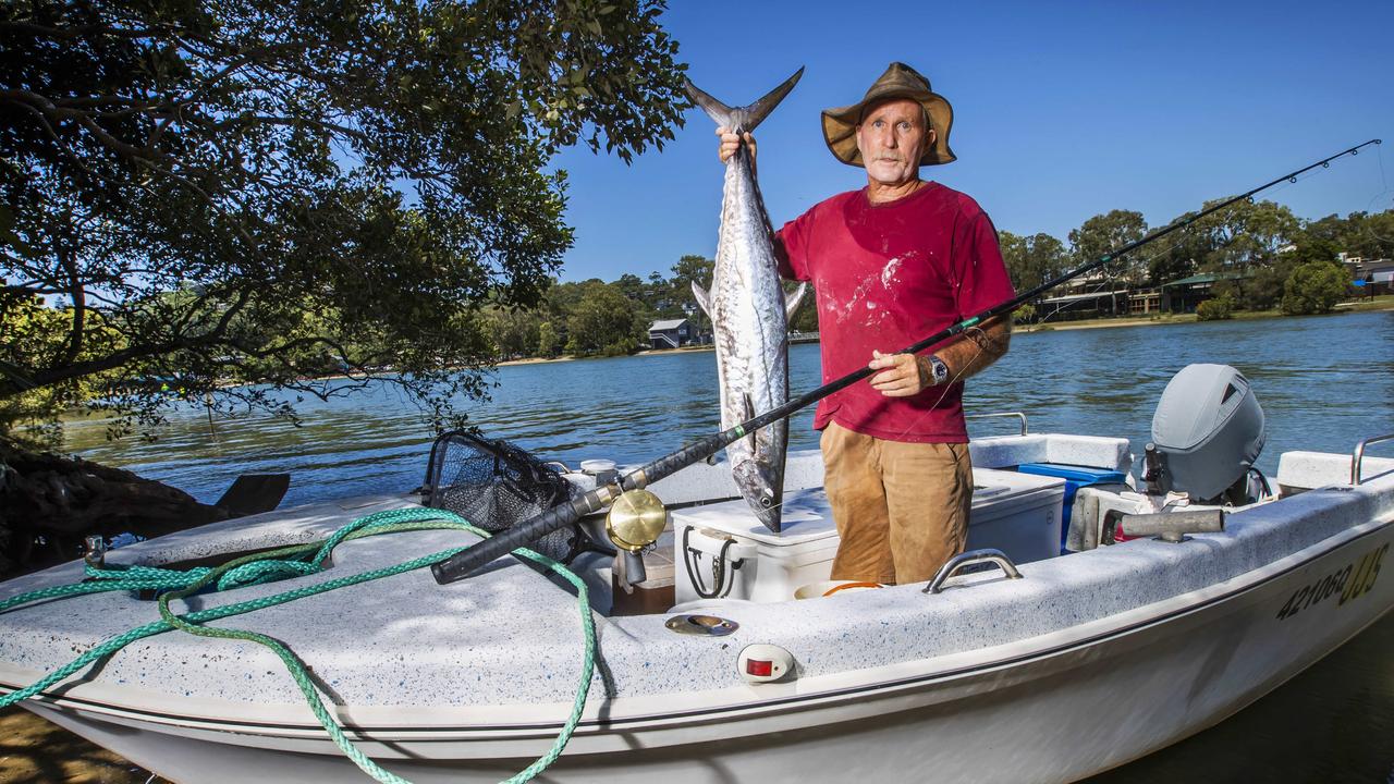 Spanish mackerel ban is just a way for Labor to coz up to the Greens ...