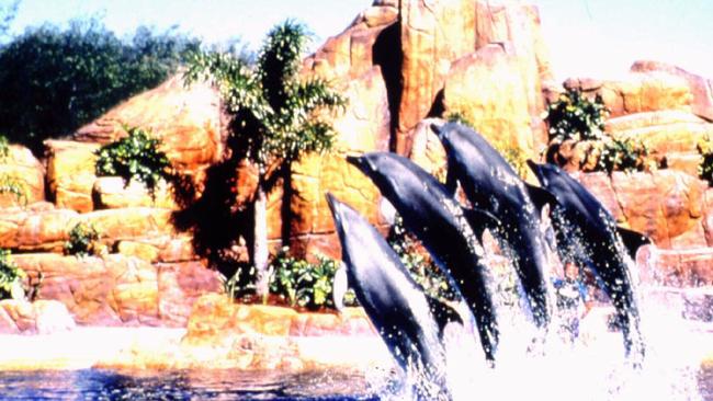 1997 - Four dolphins leap from their new habitat at Sea World, Dolphin Cove