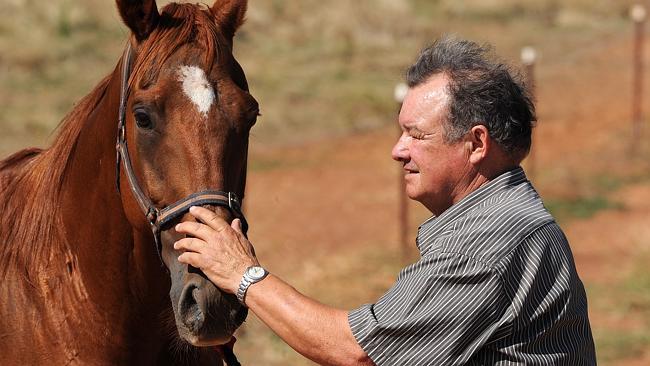 Star Of Universe has now won 19 races and placed another 43 times for almost $150,000 in earnings. Picture: Peter Lorimer