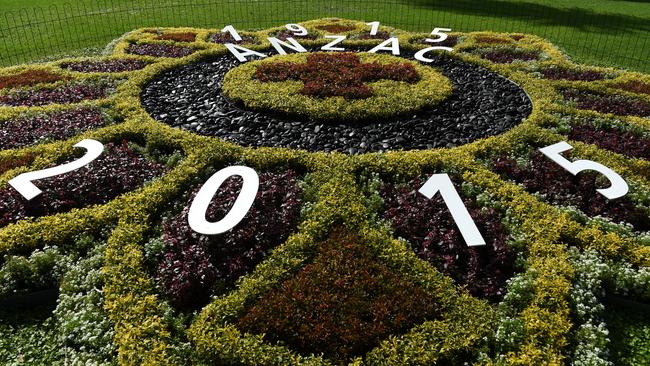 The Anzac Star Bed, a replica of a flower bed created 100 years ago at the Garden as a tribute to the first Anzacs, in the Botanical Gardens, in Sydney on Thursday, April 23, 2015. (AAP Image/Paul Miller) NO ARCHIVING