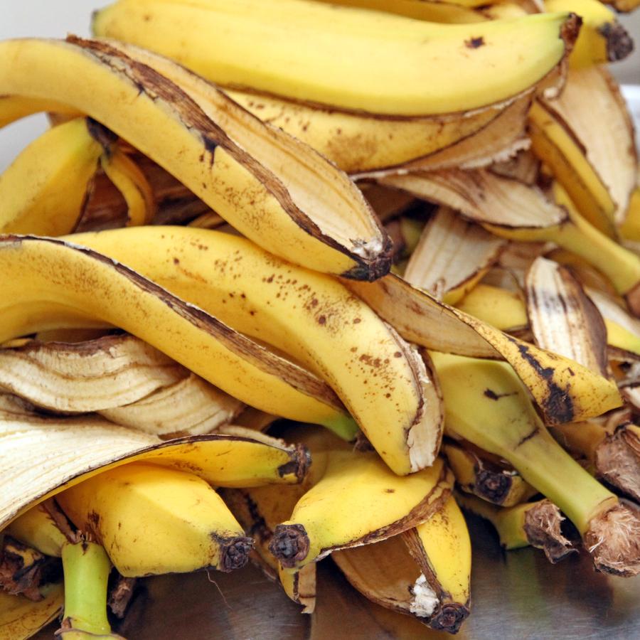 how-to-bring-a-dying-plant-back-to-life-with-just-a-banana-peel-daily