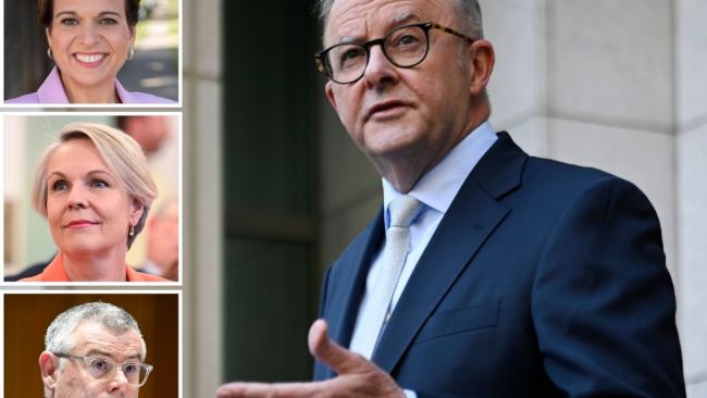 Michelle Rowland named Attorney-General, Plibersek dumped from environment in cabinet reshuffle