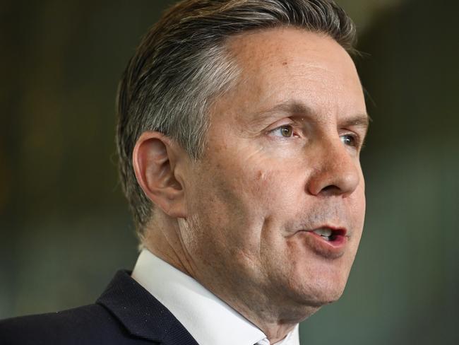 CANBERRA, AUSTRALIA  - NewsWire Photos - January 13, 2025:  Minister for Health and Aged Care Mark Butler holds a press conference at Parliament House in Canberra. Picture: NewsWire / Martin Ollman