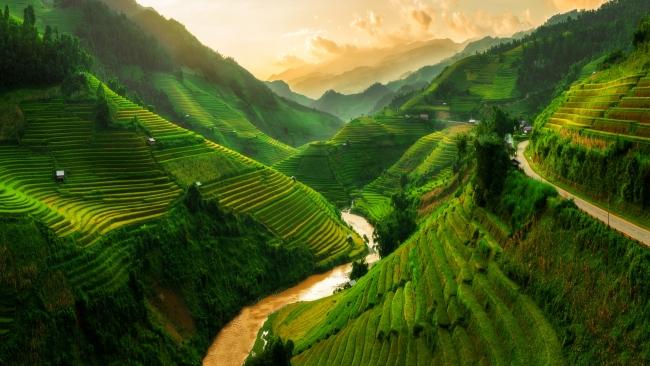 Mu Cang Chai Rice Terrace Fields near Sapa.