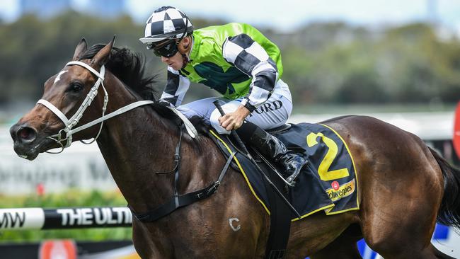 Unforgotten should relish the step up to 2400m in the ATC Oaks. Picture: AAP