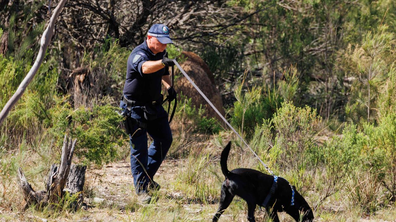 Police dogs search the area for evidence. Picture: NCA NewsWire / Max Mason-Hubers