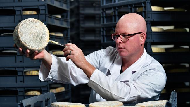 Udder Delights co-owner Saul Sullivan with cheese in the Blue Cave. Picture: Keryn Stevens