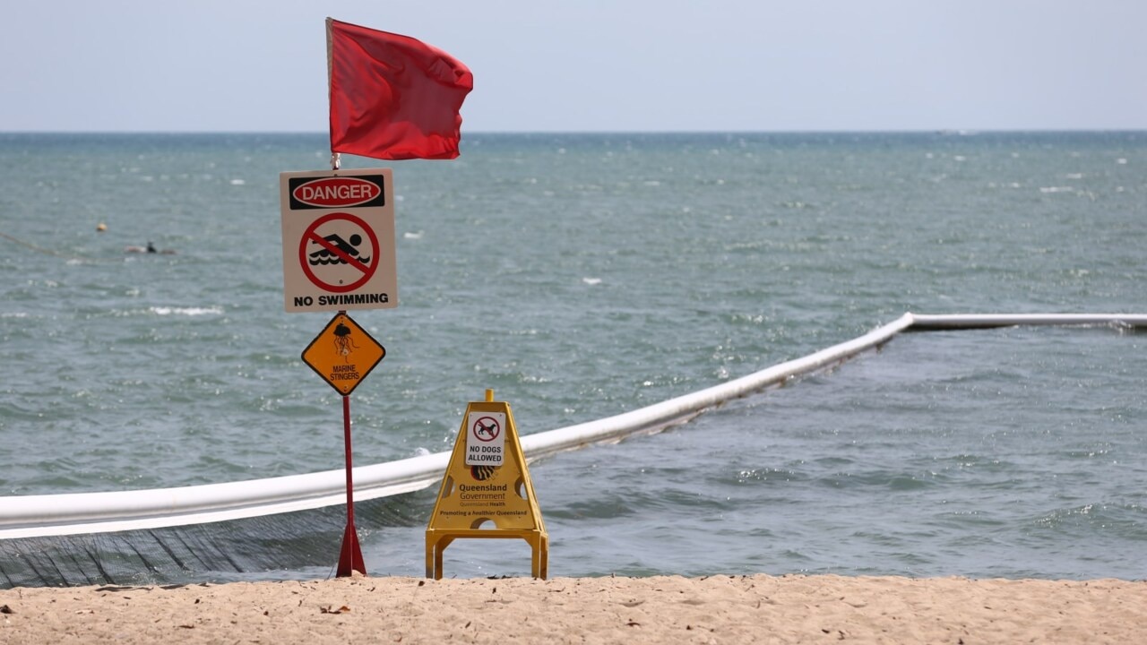 Warnings to Queenslanders after Irukandji jellyfish stings