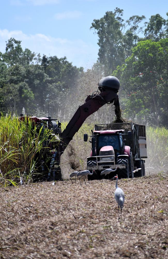 The Herbert River sugar-cane harvest at Toobanna south of Ingham, Hinchinbrook Shire. Please attribute. Picture: Cameron Bates