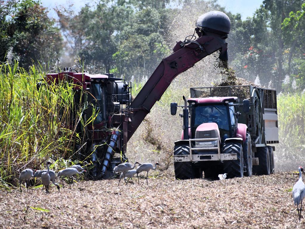 The Herbert River sugar-cane harvest at Toobanna south of Ingham, Hinchinbrook Shire. Please attribute. Picture: Cameron Bates