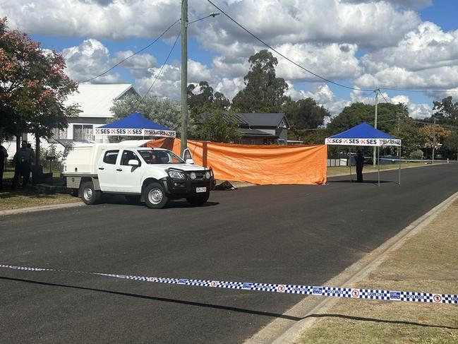 Police respond to Chinchilla death