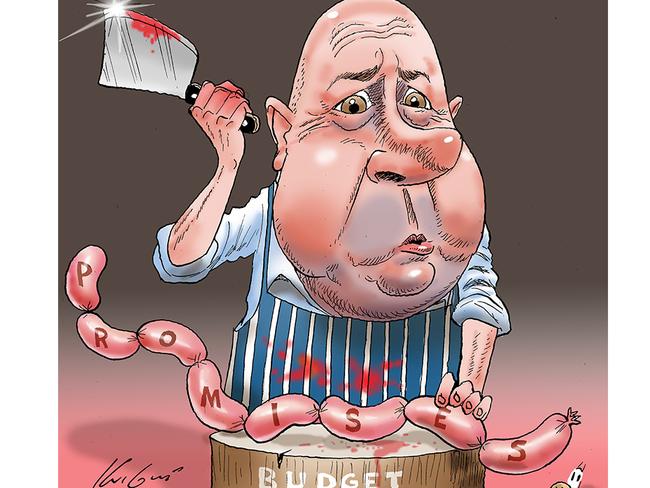 Mark Knight’s cartoon of Treasurer Tim Pallas.