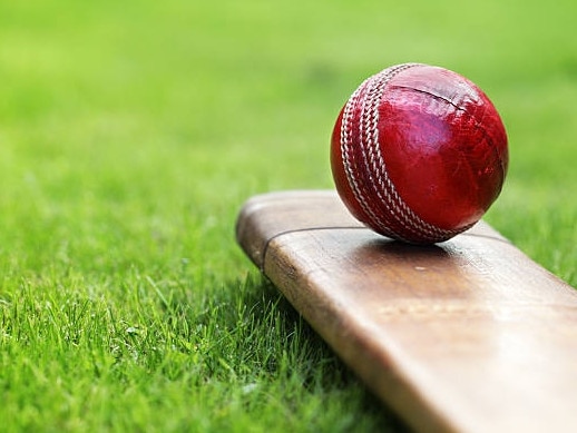 Cricket ball resting on a cricket bat on green grass of cricket pitch