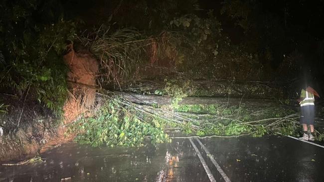 A tree down over Kuranda Range Road. Picture: Supplied.