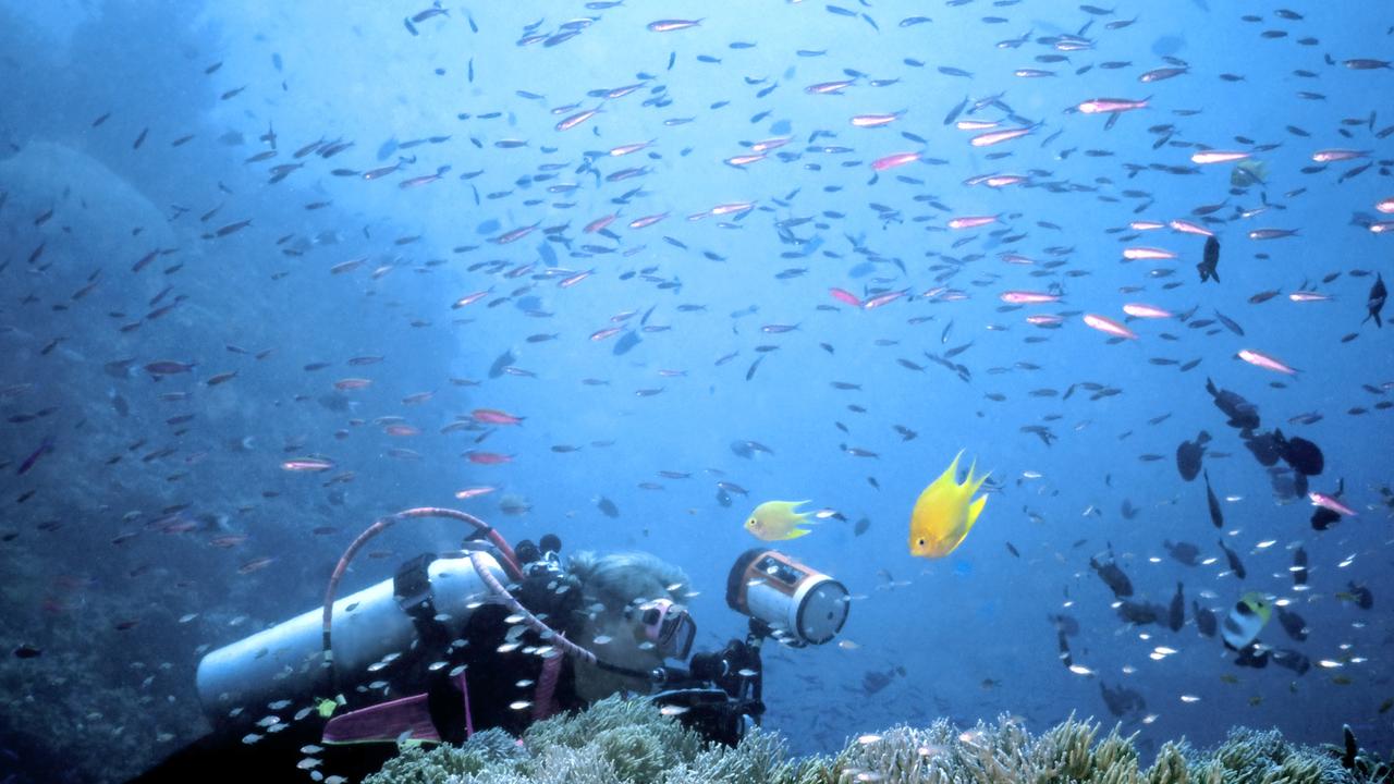 Beqa Lagoon is famous for its diving. Picture: iStock