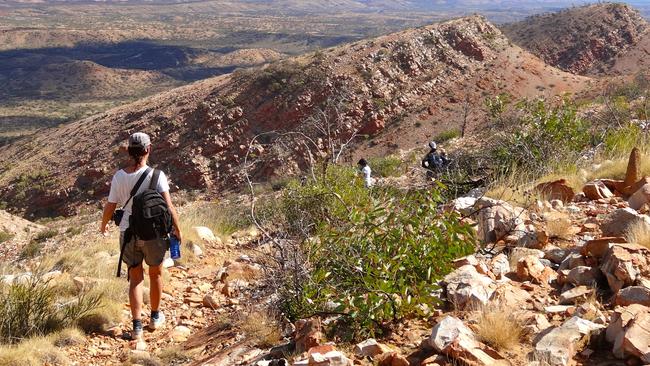 The Larapinta trail multi-day walk is one of the walks the Territory government is set to impose fees on.