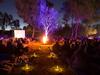 Treat your shelves: Why this weekend will be LIT-erary for bookworms