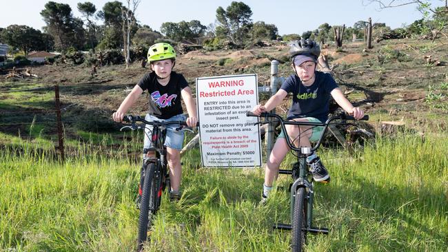 BMX riders, Josh and Jacob Mere are “bummed” at the reserve being destroyed, their mother Katie says. Picture: Steve Cordes