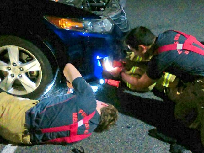 Firefighters rescued the kitten from the car engine.