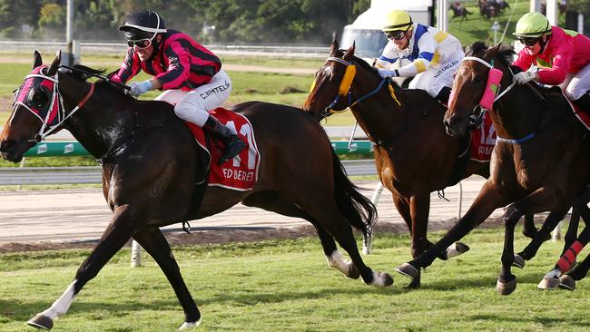 Tutelage, ridden by jockey Chris Whiteley, won the 2021 Cairns Cup, held at the Cairns Jockey Club, Cannon Park. Picture: Brendan Radke