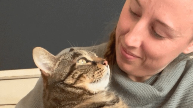 Senior shelter cat desperately hugs woman for adoption