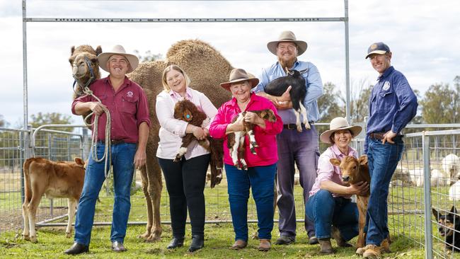 Kay and Dave Tommerup are also big supporters of community collaboration. They recently worked with Summer Land Camels director Paul Martin, Towri Sheep Cheese's Dallas and Carolyn Davidson, and Nathan Jackson from Naughty Little Ewesto create multi-species milk cheese. Picture: Josh Woning