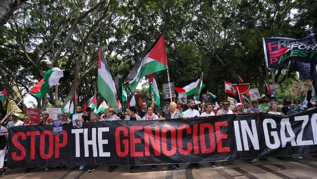 NSW government frontbencher Anthony D'Adam and Greens MP Jenny Leong leading a pro-Palestinian protest march in Sydney on Sunday. Supplied