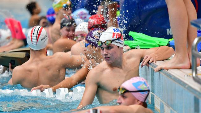 The NSW metropolitan swimming championships produced some show stopping performances. Pics: Supplied/Chloe Osborn