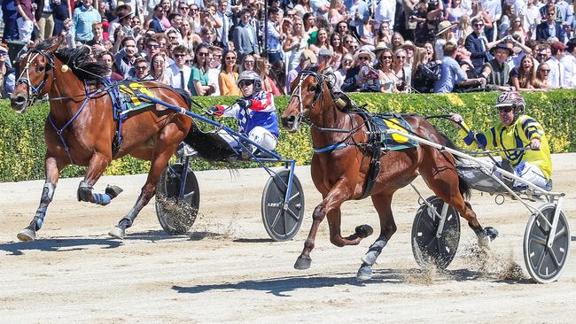 McLovin (left) is edged out by Tough Monarch in the Group 1 trotters’ free-for-all at Addington.