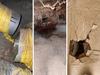 ‘Horrendous’: Shock find in $5.8m home