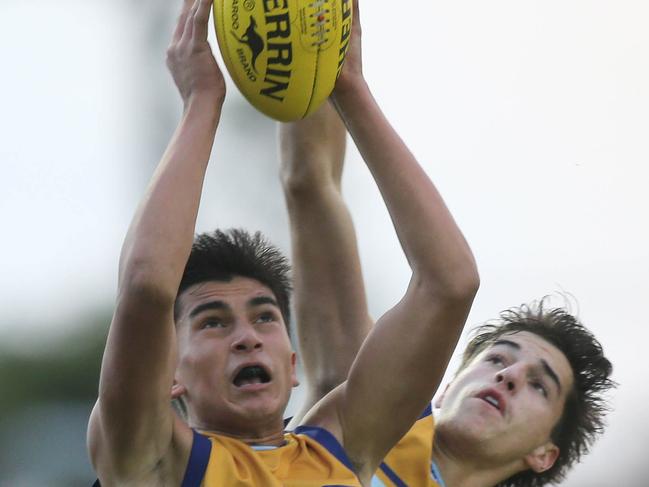 Ashton Moir is an emerging talent in college footy for Sacred Heart. Picture: Dean Martin