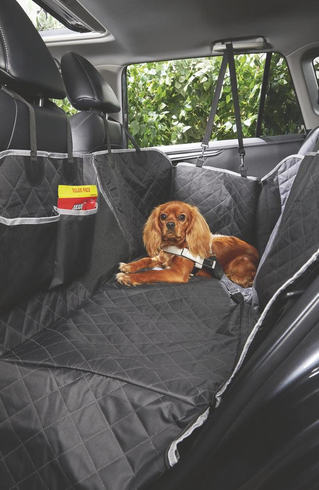 Adorable pooch modelling for the car pet hammock $20. Picture: Aldi