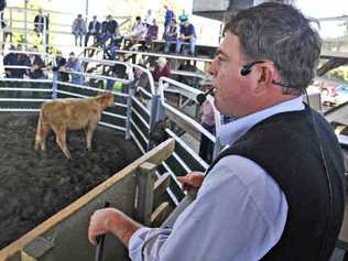 Auctioneer David Farrell believes EU accreditation would open up new markets for Valley cattle producers.