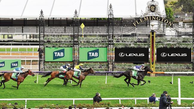 Gold Trip is in with a chance to go back to back. (Photo by Reg Ryan/Racing Photos via Getty Images)