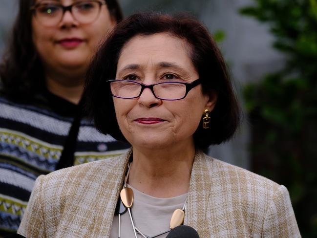 Victorian Minister for Energy Lily D’Ambrosio green-lit a 45 per cent tax hike for power companies. Picture: Luis Enrique Ascu