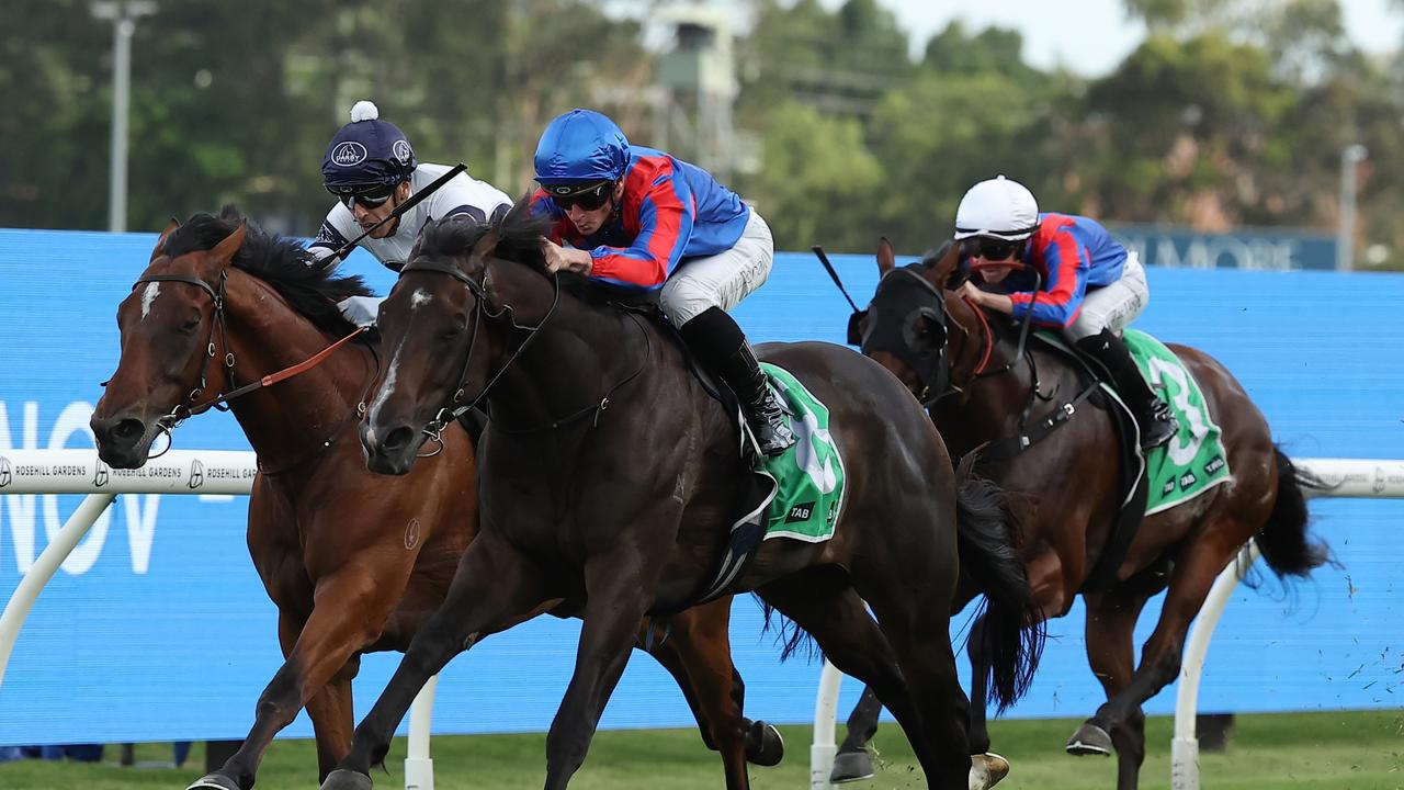 Yorkshire added to his impressive resume at Rosehill Gardens. Picture: Jeremy Ng-Getty Images