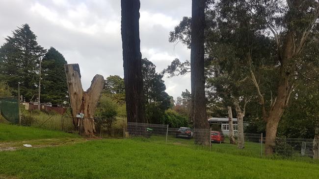 This vacant block in Albion St, Katoomba, could make way for homes for older people with disabilities. Picture: Isabell Petrinic