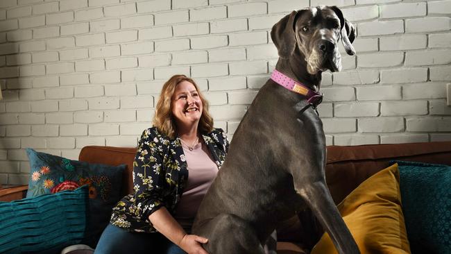 Rebekha Sharkie with her great dane Lulu. Picture: Tricia Watkinson