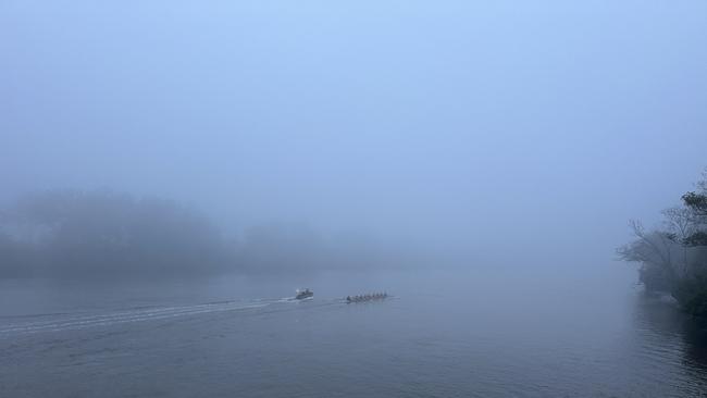 Fog on the Brisbane River. Picture: X/Alison Rice PhD