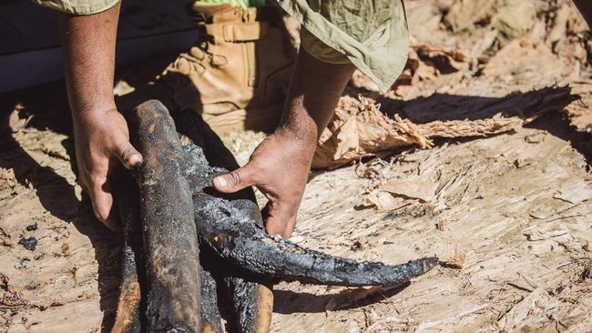 BARUNGA, AUSTRALIA - NewsWire Photos - JUNE 08, 2024: as the annual Barunga Festival, 375 km south of Darwin as the community of Barunga opens its doors to the world in a celebration of Culture, Sport and Art Picture: NewsWire / Glenn Campbell
