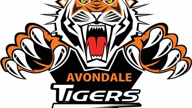 GRAND FINAL: Avondale Tigers. Picture: Contributed